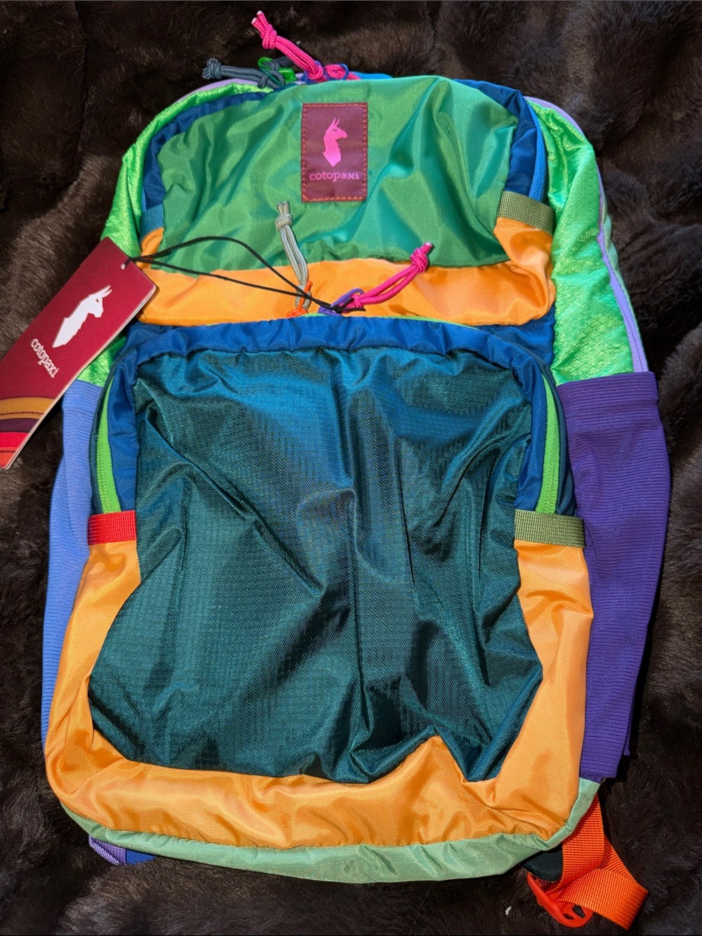 Backpack Identification